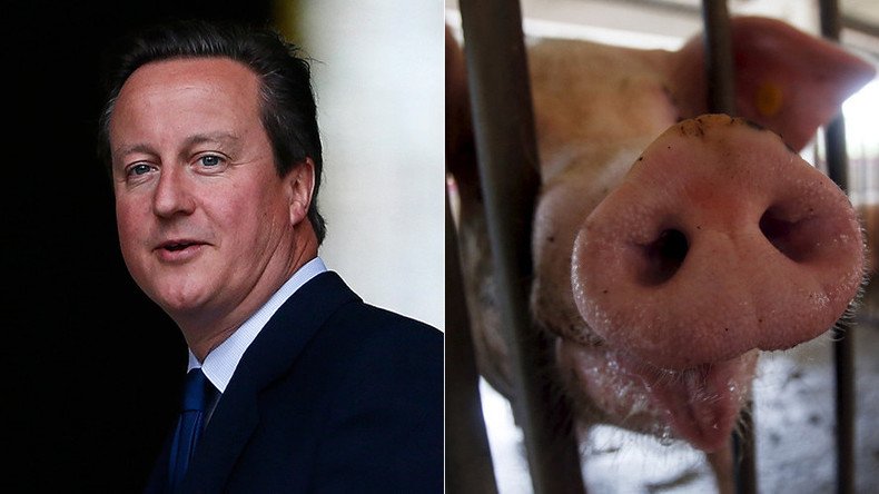 Cameron to publish ‘tell-all’ memoir... but will ex-PM come clean about #PigGate?