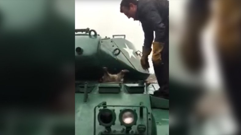 Rocket Raccoon fail: Animal stuck in army tank hilariously rescued (VIDEO) 