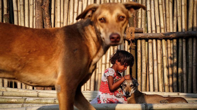 College in southern India offers gold coins for ‘killing maximum number of stray dogs’ 