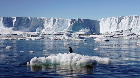 World’s largest marine reserve in Antarctic gets green light