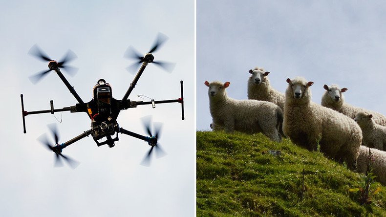 Robot tractors & sheep-herding drones: Britain’s futuristic new farm workers