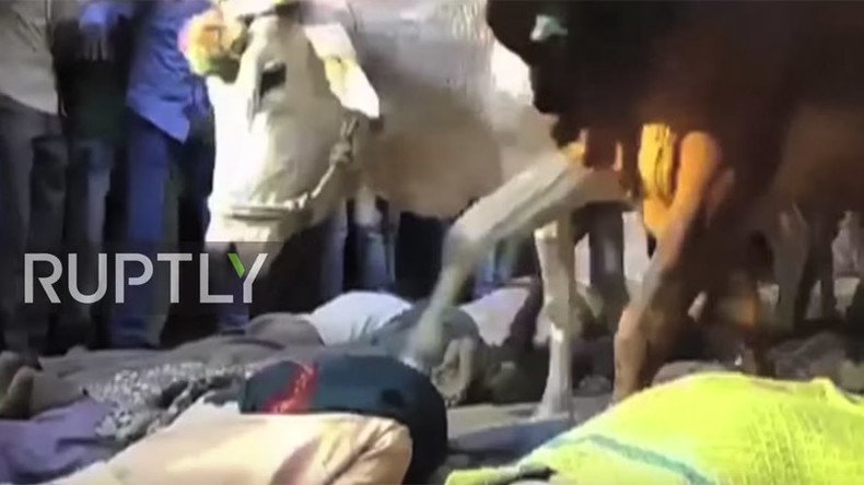 Cattle trample worshipers in India during holy ritual (VIDEO)