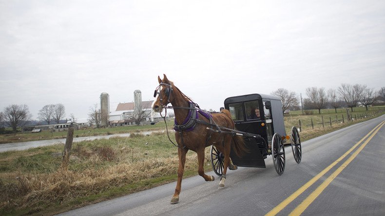 Amish residents in Kentucky take on authorities over horse poop bag laws