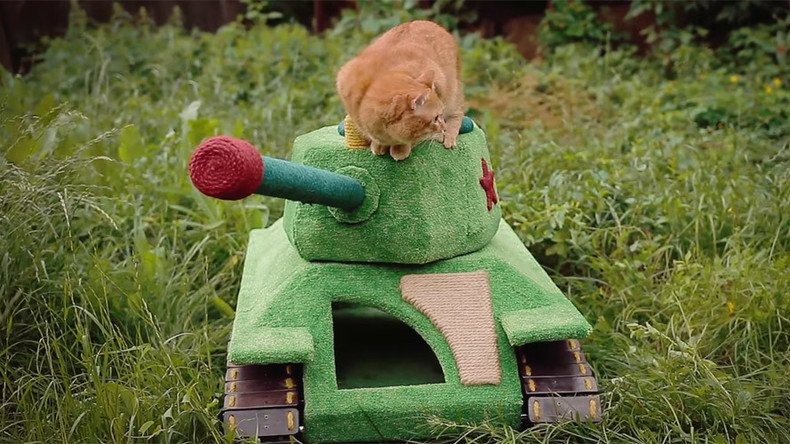 Siberian cat drives his own… tank and loves it (VIDEO)