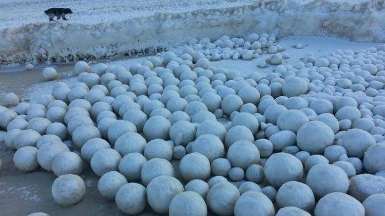 ‘White cannonballs’: Thousands of weird giant snowballs appear on Siberian coast (PHOTOS)