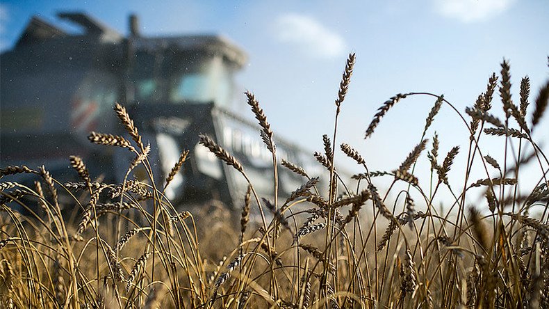 Saudi Arabia wants Russian wheat