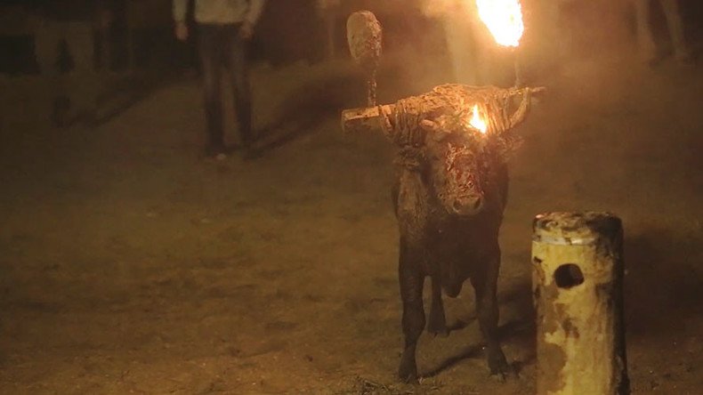 Live bull set on fire in ‘barbaric’ festival secretly filmed by protesters (GRAPHIC VIDEO)