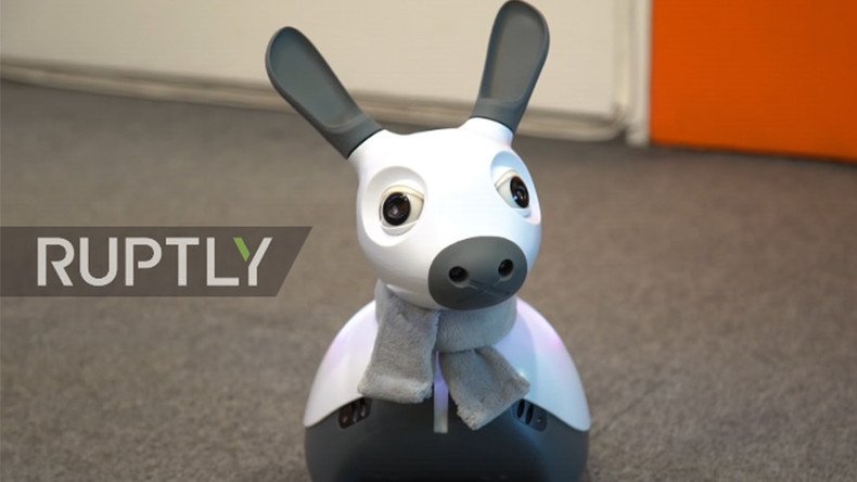 ‘Cognitive being’: Robo-dog offers AI caring alternative (VIDEO)