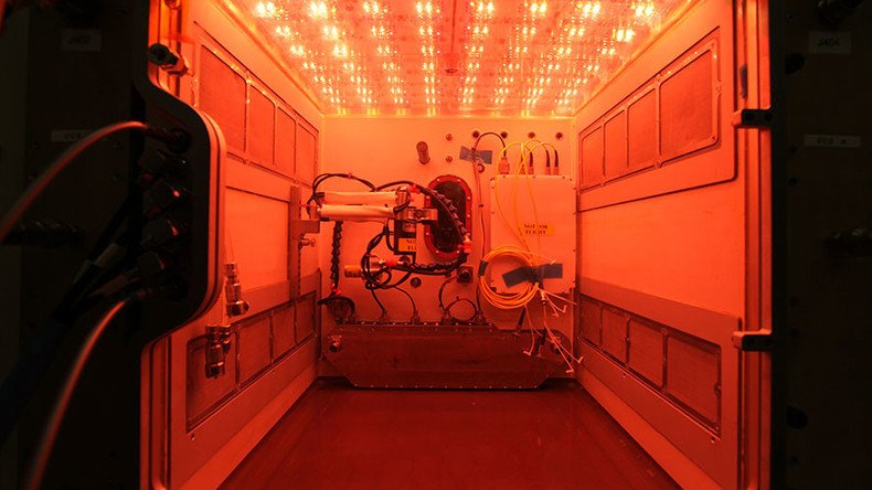 Space mustard: NASA trial ‘largest plant chamber’ before ISS delivery (PHOTO)
