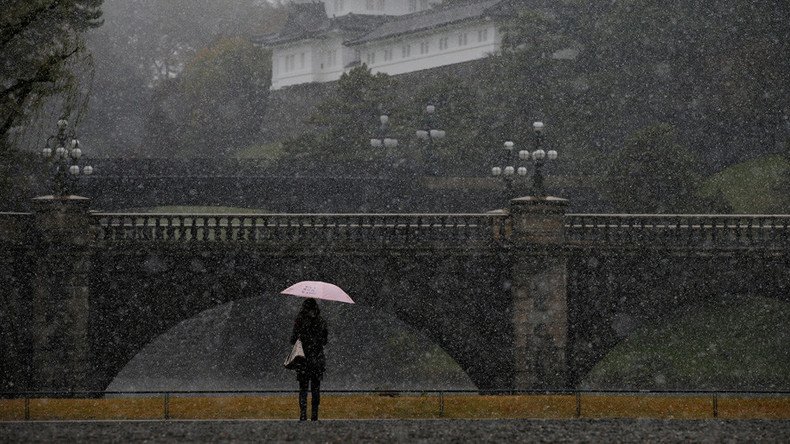 Tokyo stunned by first November snow in 54 years (PHOTOS, VIDEOS)