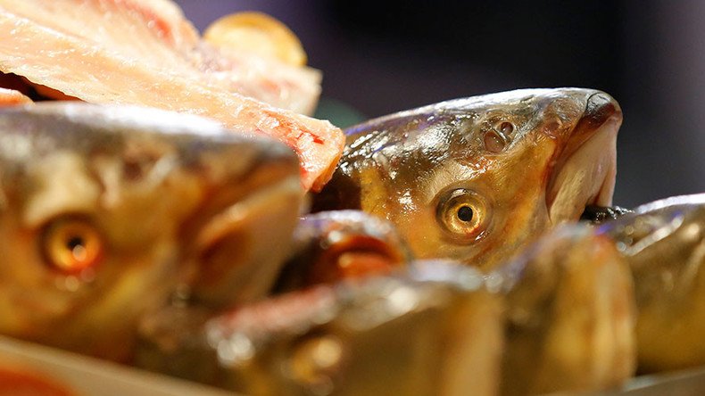 Not the plaice for it: Frosty reception for 5,000 fish frozen into Japanese ice-rink