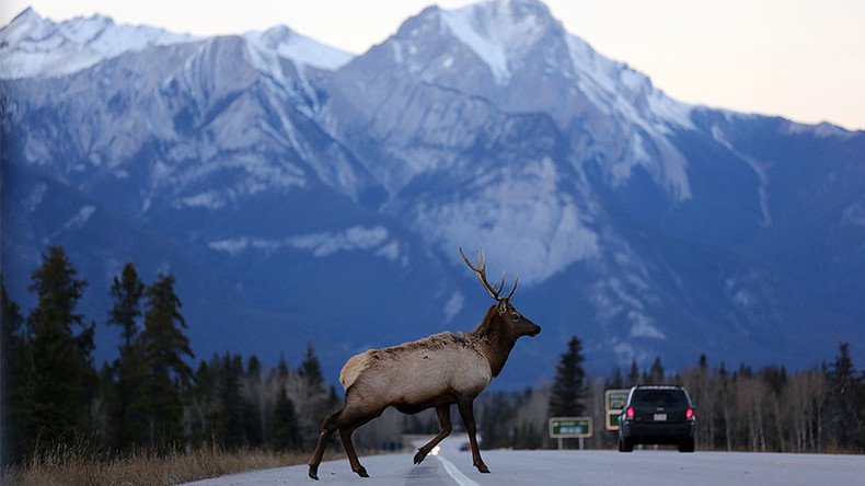 Canada expands controversial oil pipeline to Pacific