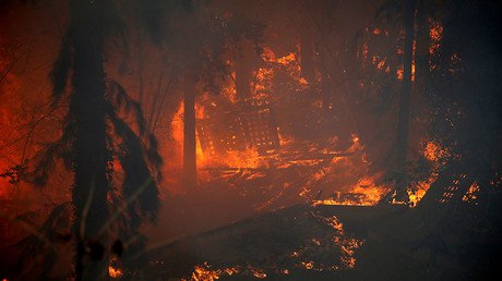 Israeli rabbi says it’s OK to break Sabbath and shoot Arab arsonists amid raging wildfires