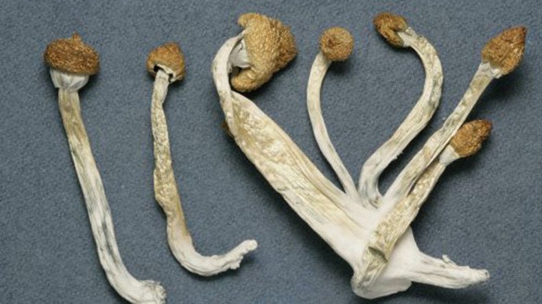 Magic mushrooms: Psychedelic drugs ease anxiety for people with life-threatening cancer