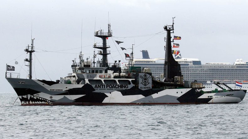 2 ships set sail to ‘intercept’ Japanese whale fleet (PHOTOS, VIDEO)