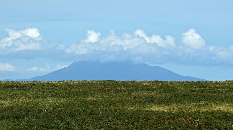 Peace treaty key to solving Russia-Japan territorial dispute – Putin aide