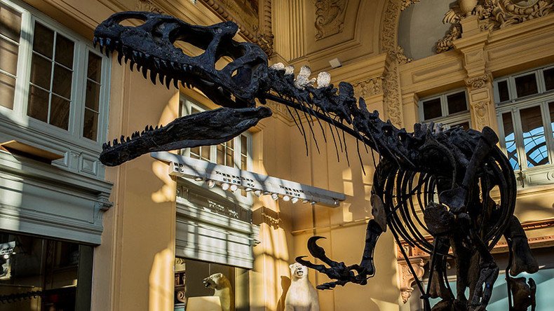 Million dollar dinosaur: Jurassic giant goes under the hammer