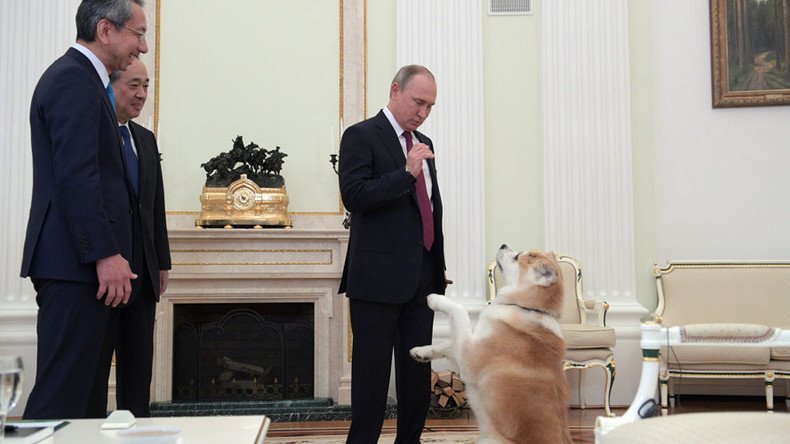 Putin’s ‘no-nonsense’ dog causes commotion at interview with Japanese media (VIDEO)