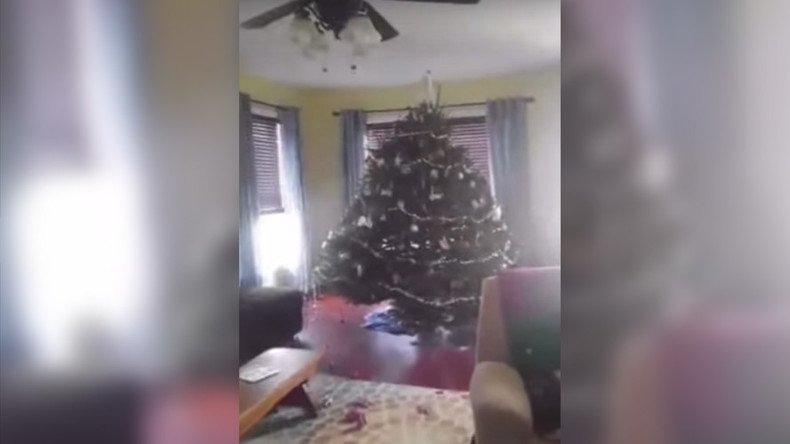 Deer in tree lights: Teen shoots buck dead after it storms Christmas tree (VIDEO)