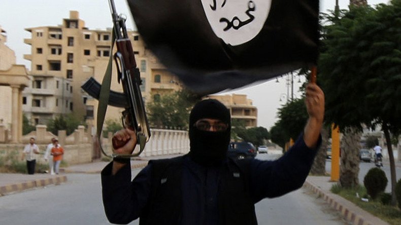 Welfare jihad: Dozens of Danish ISIS fighters received state unemployment benefits