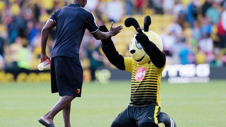 ‘Harry the Hornet out of order’: Football mascot’s mock dive sparks row