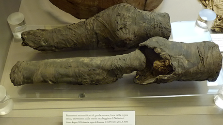 3,200-yo set of mummified legs belonged to Queen Nefertari, study concludes