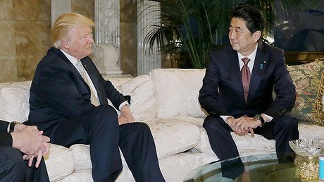 Japan's parliament passes Pacific trade pact despite Trump promise to pull US out