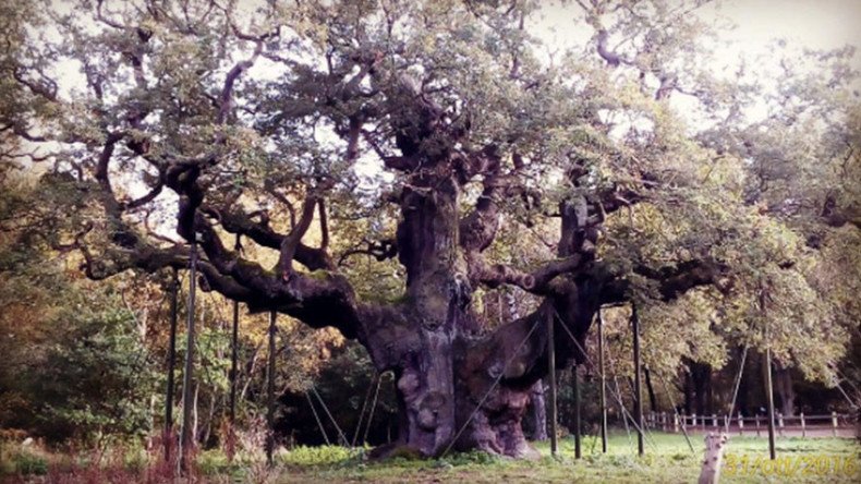 Robin Hood’s Sherwood Forest hideout under threat from frackers