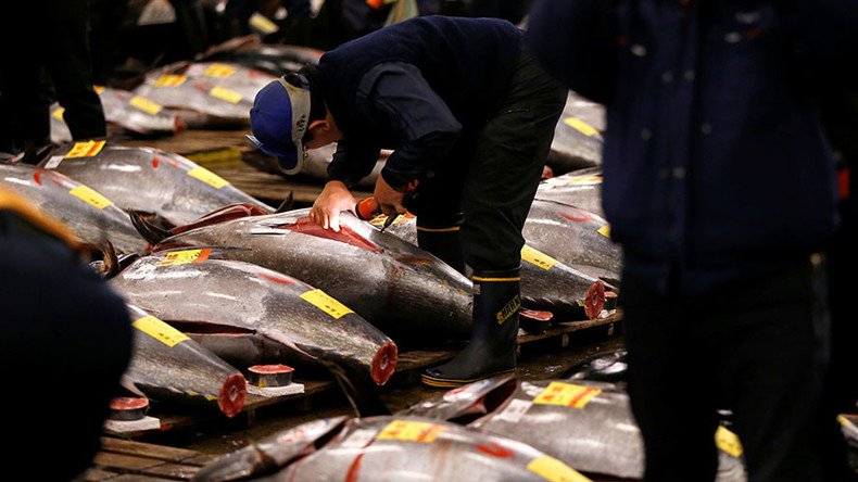 Detection of cancer-causing chemical at Tokyo site delays relocation of world’s largest fish market