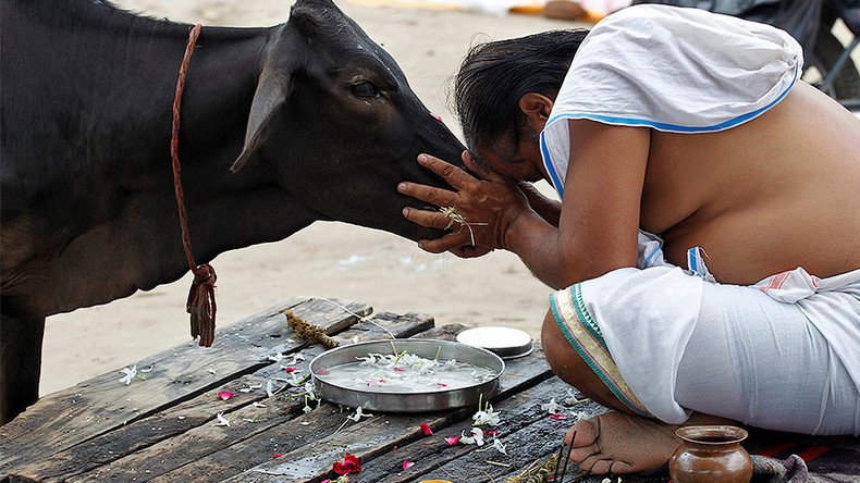 Indian minister slammed for taboo comments on cows — RT Viral