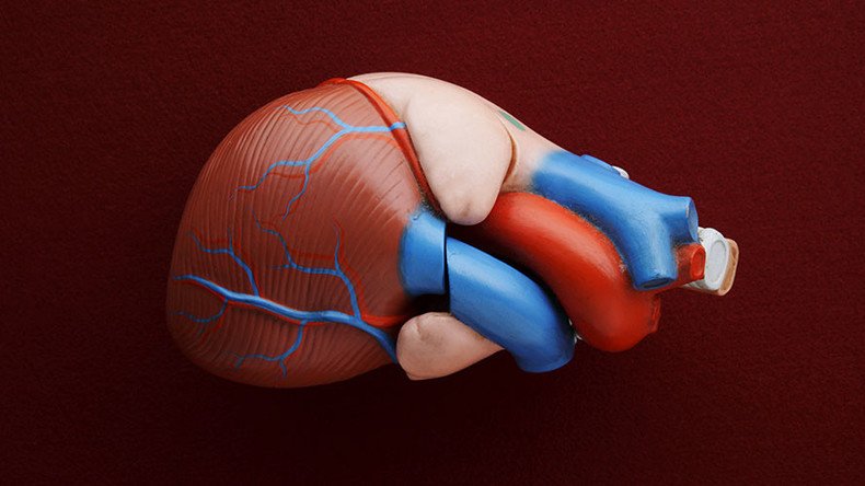 Heart-hugging device pumps blood, scientists successfully test