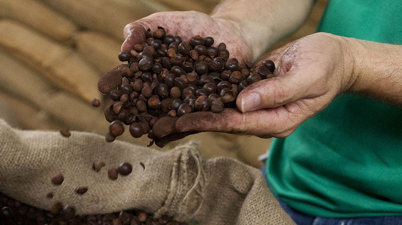 Lethal dose of caffeine given to students in university experiment