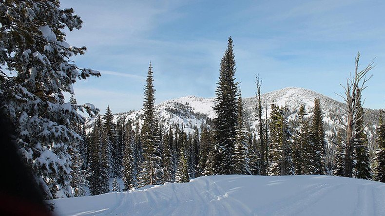 Equine airlift: Stranded horse rescued from snowbound mountain after 5 days (VIDEO)