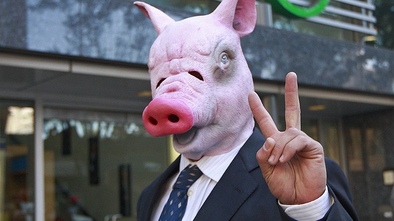 Animal Farm: Scientists create first pig-human hybrid (PHOTO)