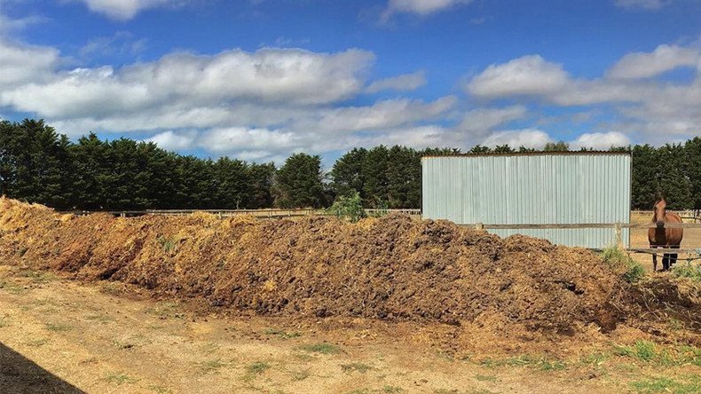 Court rules over pile of manure so massive it could be seen from space