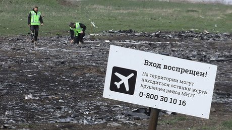 Dutch journalists criticize MH17 probe results after finding ‘many pieces’ still at crash site 