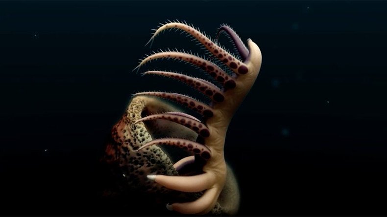 500mn years old & boasting 30 legs: ‘Worm’ fossil offers insight into ancient species (VIDEO)