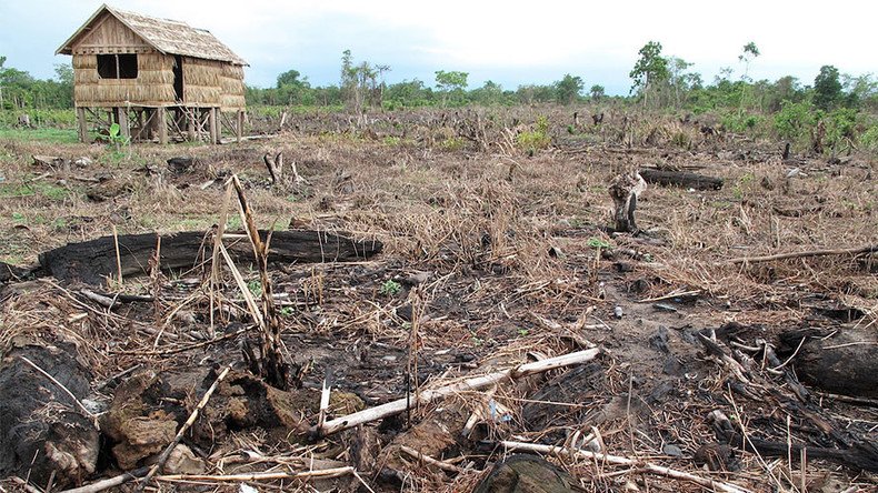 Welcome to Sumatra, Indonesia, an environmental genocide in the making