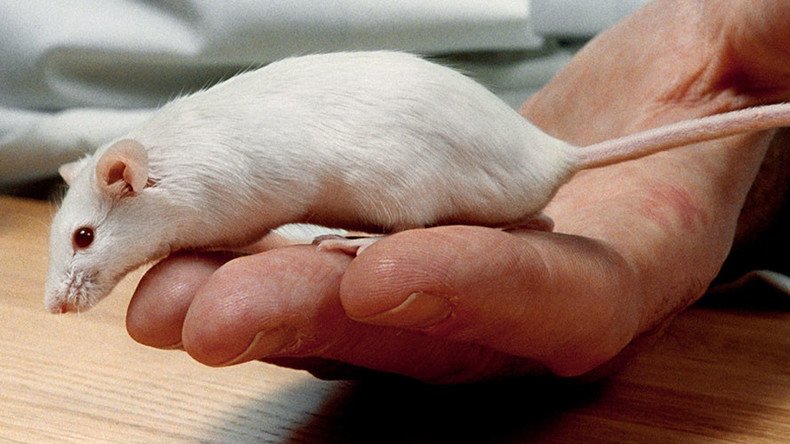 Scientists restore hearing in deaf mice using advanced gene therapy 