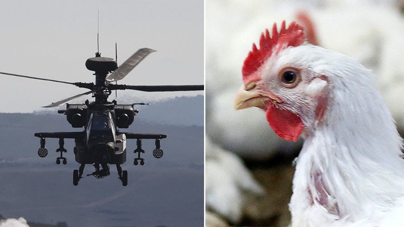 Cock up: Low-flying military aircraft scare chickens to death, MoD forced to pay out