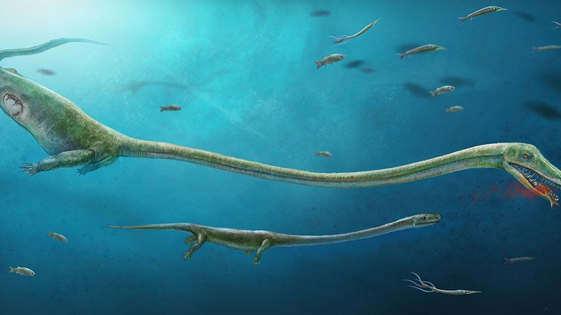 First case of live birth from archosaur family discovered by archaeologists