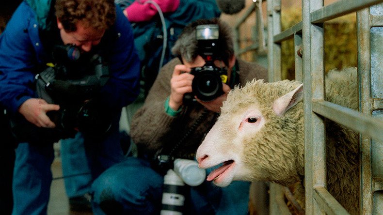 Dolly the sheep: 20yrs on, what’s the state of play in cloning?