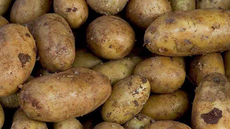 EPA joins FDA to approve 3 types of genetically modified potatoes