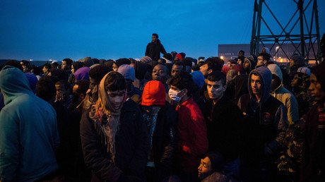 Majority of Europeans say Muslim immigration should be stopped – poll