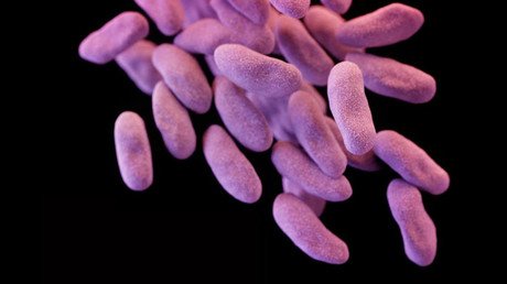 New antibiotic unearthed from the dirt