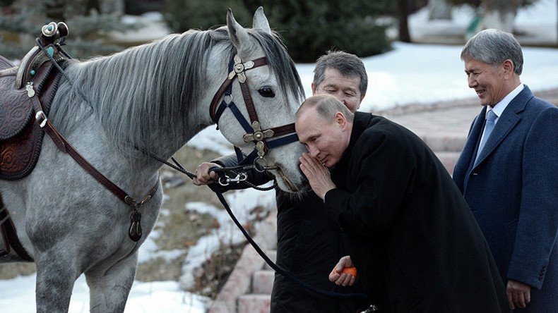 President’s pet: Putin’s new Kyrgyz race horse & his other fauna interactions (PHOTOS, VIDEOS)