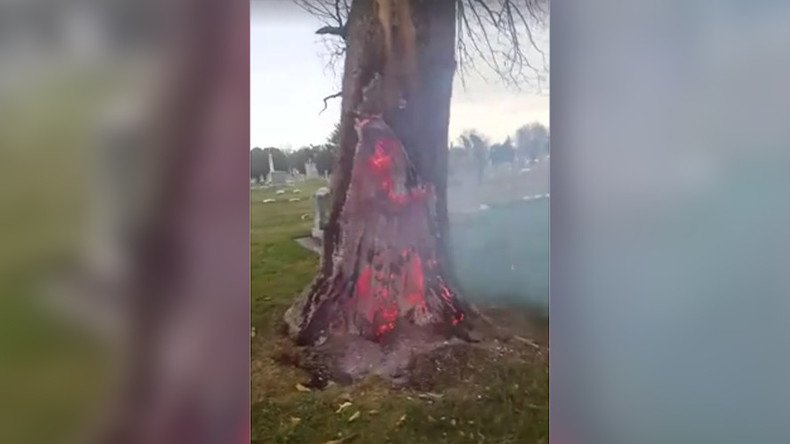 Gates to hell? Eerie blazing tree base filmed after lightning storm (VIDEO, POLL)