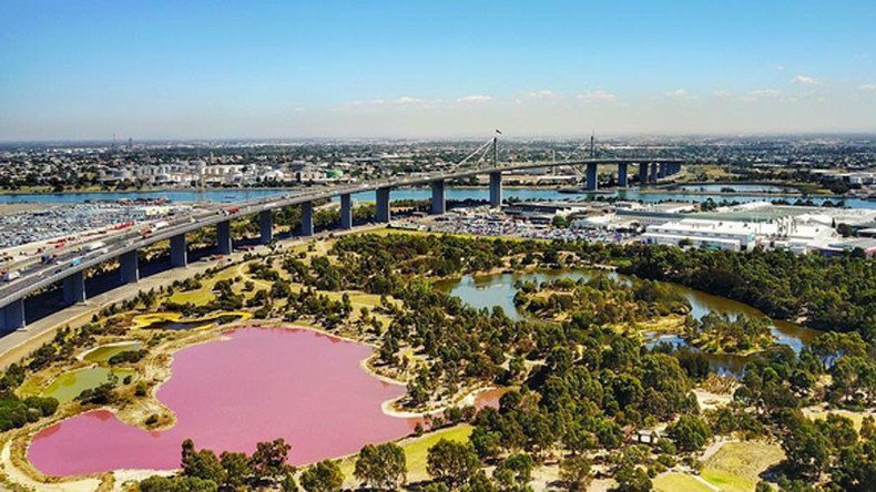 A salt on the senses: Vibrant pink lake sends Melbourne shutterbugs into frenzy (PHOTOS)