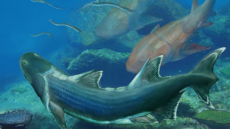 420mn-year-old ‘armored’ fish fossil found in SW China
