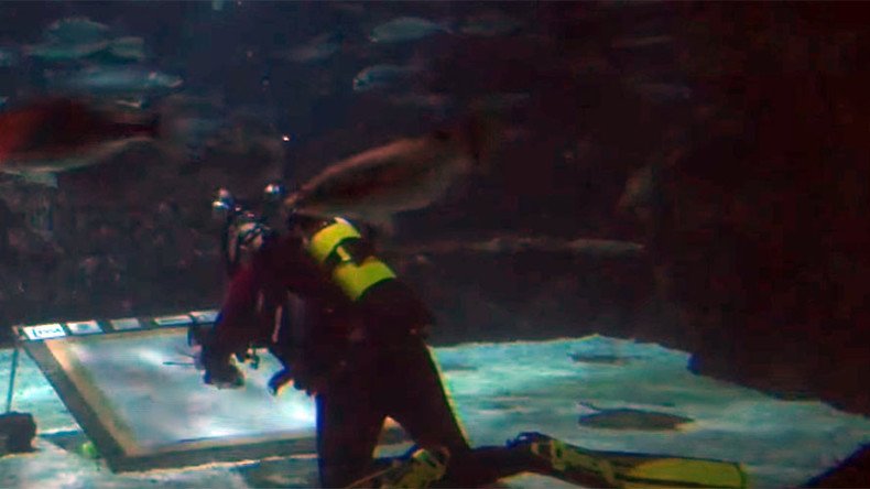 Extreme artist braves shark-infested waters to pay homage to Spanish wingsuit pioneer (VIDEO)